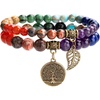 7 Chakras